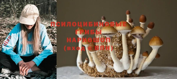 ECSTASY Алексеевка